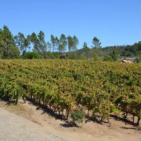 Quinta Do Medronheiro Rural Venkovský dům *