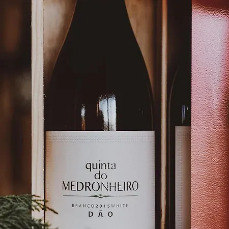 Casa de Campo Quinta Do Medronheiro Rural Viseu