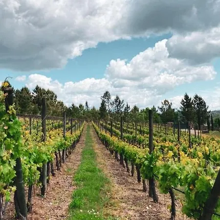 Quinta Do Medronheiro Rural Casa de Campo *