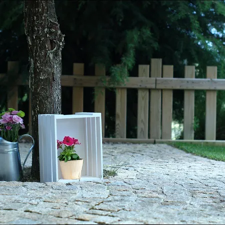 Quinta Do Medronheiro Rural *