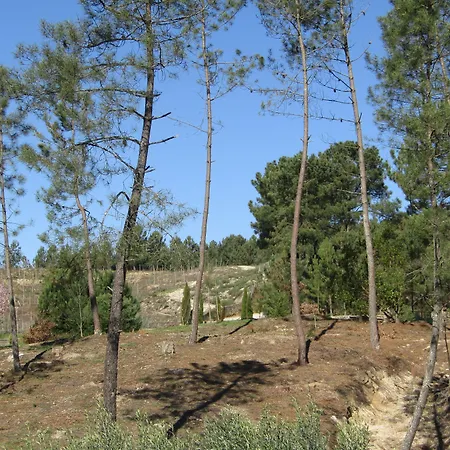 Casa de Campo Quinta Do Medronheiro Rural *