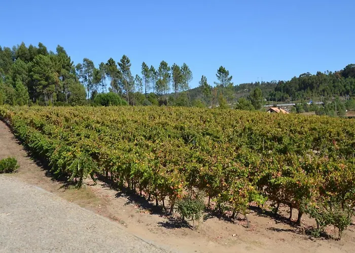 Quinta Do Medronheiro Rural Hétvégi ház *