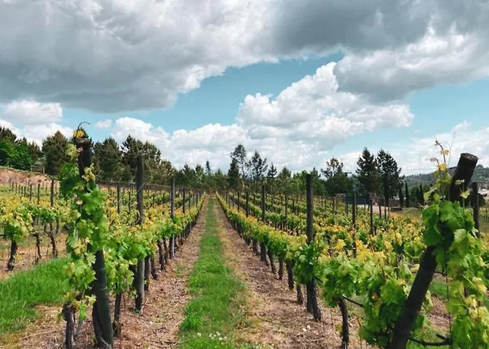 Quinta Do Medronheiro Rural Hétvégi ház *
