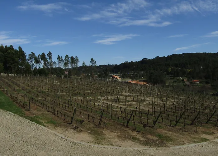 Quinta Do Medronheiro Rural Hétvégi ház *