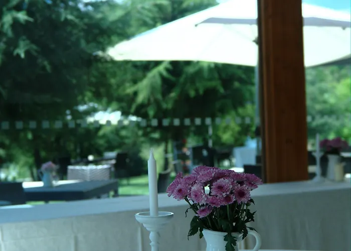 Летний дом Quinta Do Medronheiro Rural