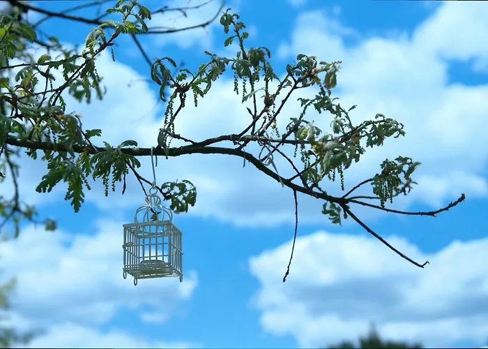 Gospodarstwo wiejskie Quinta Do Medronheiro Rural Viseu