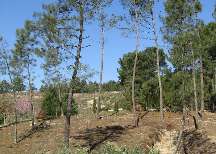 Летний дом Quinta Do Medronheiro Rural *